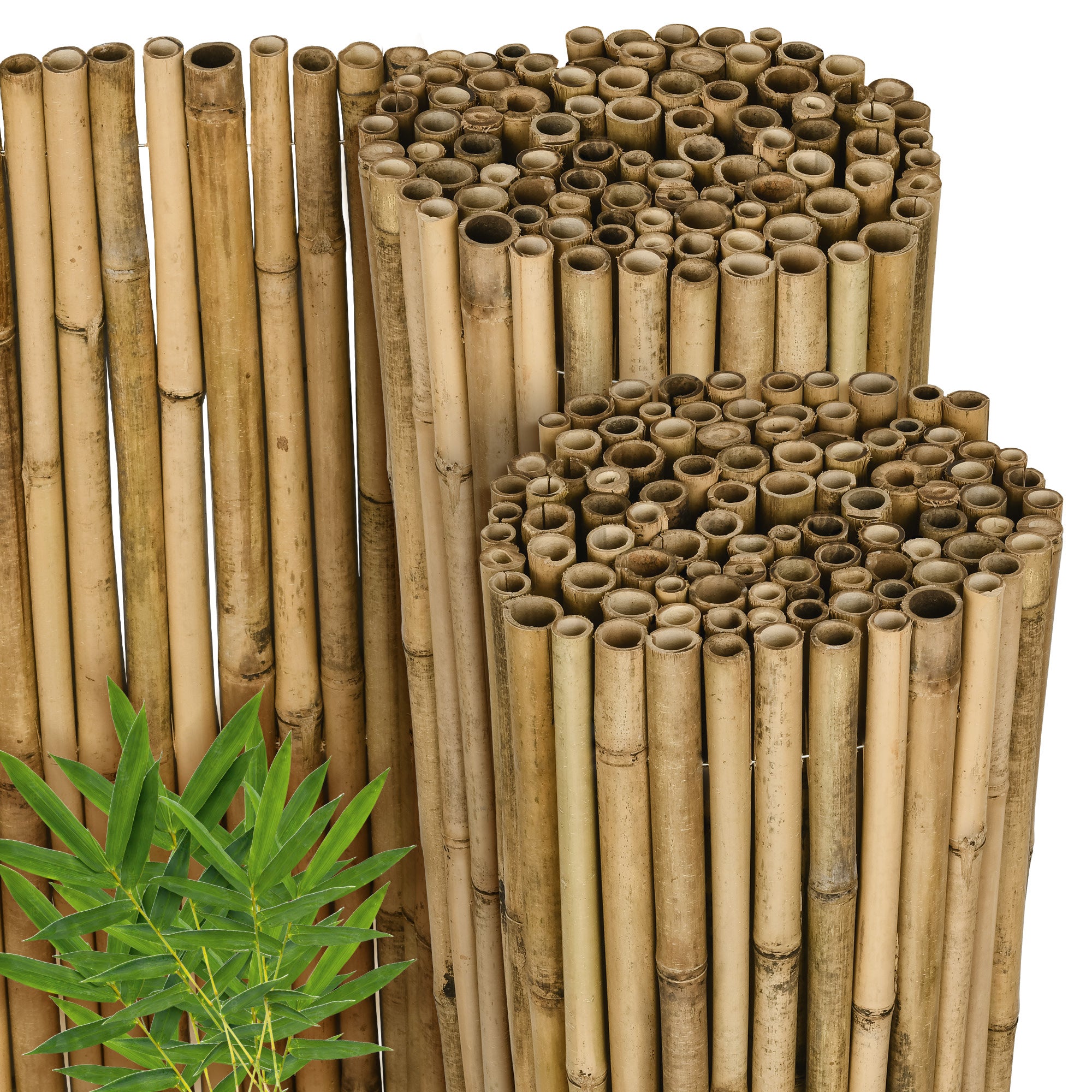 Sol Royal Bambus Sichtschutz Zaun SolVision B38